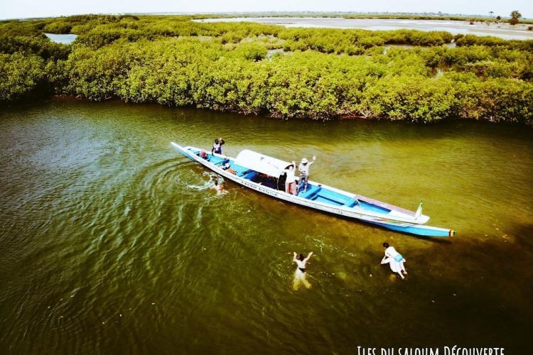 ile du saloum